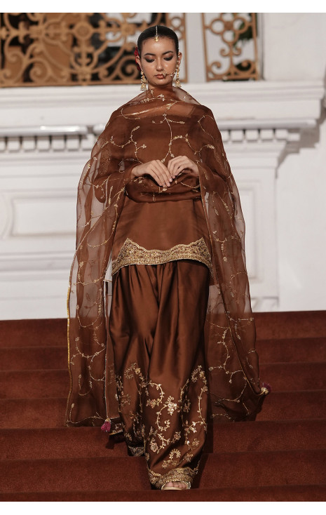 Brown Outfit
